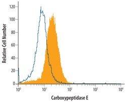 Human Carboxypeptidase E/CPE Antibody, R D Systems 100 &mu;g | Buy Online | R&D Systems | Fisher Scientific