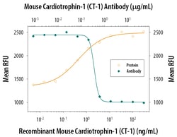Mouse Cardiotrophin-1/CT-1 Antibody, R D Systems 100&mu;g; Unlabeled:Antibodies,