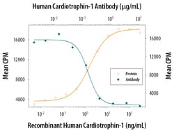 Human Cardiotrophin-1/CT-1 Antibody, R D Systems 100&mu;g; Unlabeled:Antibodies,