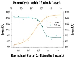 Human Cardiotrophin-1/CT-1 Antibody, R D Systems 100&mu;g:Antibodies, Monoclonal