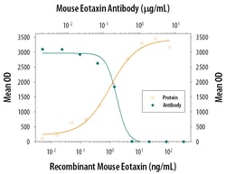 Mouse CCL11/Eotaxin Antibody, R D Systems 100&mu;g; Unlabeled:Antibodies,