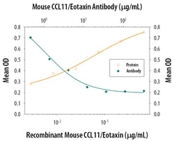 Mouse CCL11/Eotaxin Antibody, R D Systems 25&mu;g; Unlabeled:Antibodies,