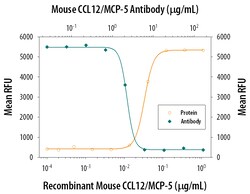 Mouse CCL12/MCP-5 Antibody, R D Systems 25&mu;g; Unlabeled:Antibodies,