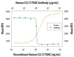 Human CCL17/TARC Antibody, R D Systems 25&mu;g; Unlabeled:Antibodies, Polyclonal