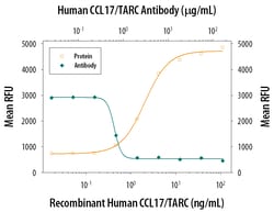 Human CCL17/TARC Antibody, R D Systems 500&mu;g; Unlabeled:Antibodies,