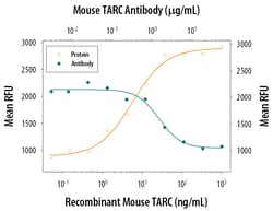 Mouse CCL17/TARC Antibody, R D Systems:Antibodies:Primary Antibodies