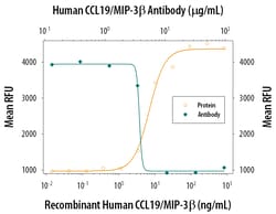 Human CCL19/MIP-3 beta Antibody, R D Systems 25 &mu;g | Buy Online | R&D Systems | Fisher Scientific