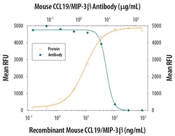 Mouse CCL19/MIP-3 beta Antibody, R D Systems 25&mu;g; Unlabeled:Antibodies,