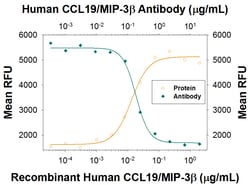 Human CCL19/MIP-3 beta Antibody, R D Systems:Antibodies:Primary Antibodies