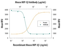 Mouse CCL19/MIP-3 beta Antibody, R D Systems:Antibodies:Primary Antibodies