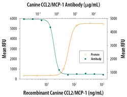 Canine CCL2/JE/MCP-1 Antibody, R D Systems 25&mu;g; Unlabeled:Antibodies,