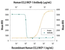 Human CCL2/JE/MCP-1 Antibody, R D Systems:Antibodies:Primary Antibodies