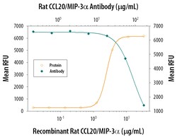 Rat CCL20/MIP-3 alpha Antibody, R D Systems 100&mu;g; Unlabeled:Antibodies,