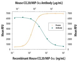 Mouse CCL20/MIP-3 alpha Antibody, R D Systems:Antibodies:Primary Antibodies