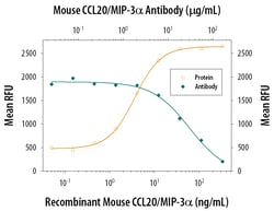Mouse CCL20/MIP-3 alpha Antibody, R D Systems:Antibodies:Primary Antibodies