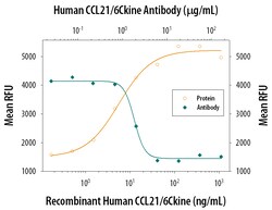 Human CCL21/6Ckine Antibody, R D Systems 25&mu;g; Unlabeled:Antibodies,