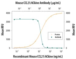 Mouse CCL21/6Ckine Antibody, R D Systems 25 &mu;g | Buy Online | R&D Systems | Fisher Scientific