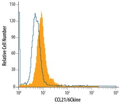 Mouse CCL21/6Ckine Antibody, R D Systems 100&mu;g:Antibodies, Monoclonal