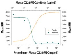 Mouse CCL22/MDC Antibody, R D Systems 100&mu;g; Unlabeled:Antibodies, Polyclonal