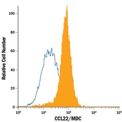 Human CCL22/MDC PE-conjugated Antibody, R D Systems 100 Tests; PE:Antibodies,