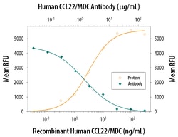 Human CCL22/MDC Antibody, R D Systems 25&mu;g; Unlabeled:Antibodies, Monoclonal