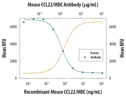 Mouse CCL22/MDC Antibody, R D Systems:Antibodies:Primary Antibodies