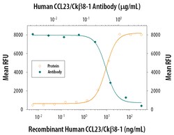 Human CCL23/Ck beta 8-1 Antibody, R D Systems 100&mu;g; Unlabeled:Antibodies,