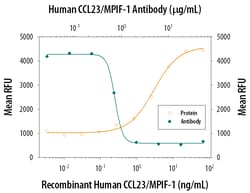 Human CCL23/MPIF-1 Antibody, R D Systems 25&mu;g; Unlabeled:Anticuerpos