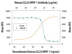 CCL23/MPIF-1 Mouse anti-Human, Clone: 69512, R D Systems 500ug; Unlabeled:Antibodies,