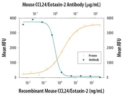 Mouse CCL24/Eotaxin-2/MPIF-2 Antibody, R D Systems 100&mu;g; Unlabeled:Antibodies,
