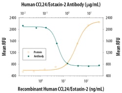 Human CCL24/Eotaxin-2/MPIF-2 Antibody, R D Systems 500&mu;g ; Unlabeled:Antibodies,