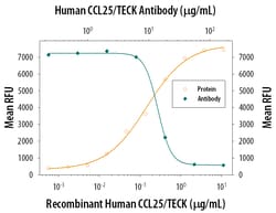 Human CCL25/TECK Antibody, R D Systems 500&mu;g; Unlabeled:Antibodies,