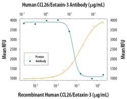 Human CCL26/Eotaxin-3 Antibody, R D Systems 25&mu;g; Unlabeled:Antibodies,