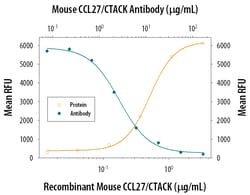Mouse CCL27/CTACK Antibody, R D Systems 500ug; Unlabeled:Antibodies, Monoclonal
