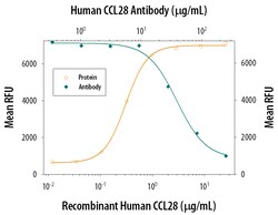 Human CCL28 Antibody, R D Systems 100&mu;g; Unlabeled:Antibodies, Polyclonal