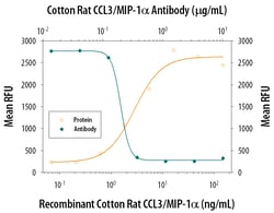 Cotton Rat CCL3/MIP-1 alpha Antibody, R D Systems 100 &mu;g | Buy Online | R&D Systems | Fisher Scientific