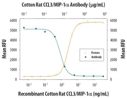 Cotton Rat CCL3/MIP-1 alpha Antibody, R D Systems 25&mu;g; Unlabeled:Antibodies,