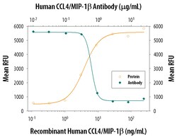 Human CCL4/MIP-1 beta Antibody, R D Systems 100&mu;g; Unlabeled:Antibodies,