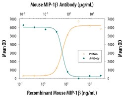 Mouse CCL4/MIP-1 beta Antibody, R D Systems 25&mu;g; Unlabeled:Antibodies,