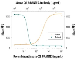 Mouse CCL5/RANTES Antibody, R D Systems 100&mu;g; Unlabeled:Antibodies,