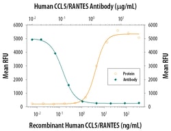 Human CCL5/RANTES Antibody, R D Systems:Antibodies:Primary Antibodies