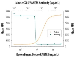 Mouse CCL5/RANTES Antibody, R D Systems 25&mu;g; Unlabeled:Antibodies,