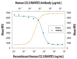 Human/Primate CCL5/RANTES Antibody, R D Systems 25&mu;g; Unlabeled:Antibodies,