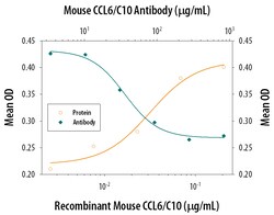 Mouse CCL6/C10 Antibody, R D Systems 1mg; Unlabeled:Antibodies, Polyclonal