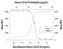 Mouse CCL6/C10 Antibody, R D Systems 100&mu;g; Unlabeled:Antibodies, Polyclonal