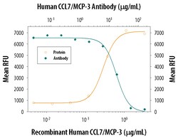 Human CCL7/MCP-3/MARC Antibody, R D Systems 100&mu;g; Unlabeled:Antibodies,
