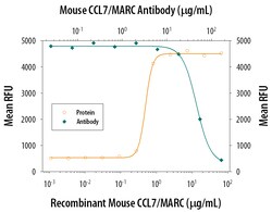 Mouse CCL7/MCP-3/MARC Antibody, R D Systems 100&mu;g; Unlabeled:Antibodies,