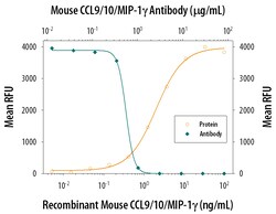Mouse CCL9/10/MIP-1 gamma Antibody, R D Systems 25&mu;g; Unlabeled:Antibodies,