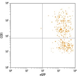 Mouse CCR1 APC-conjugated Antibody, R D Systems 25 Tests | Buy Online | R&D Systems | Fisher Scientific