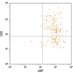 Mouse CCR1 PE-conjugated Antibody, R D Systems:Antibodies:Primary Antibodies